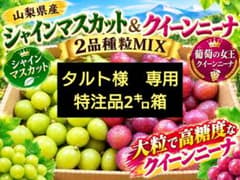 山梨県産　シャイン＆クイーンニーナ　タルト様　専用　特注品のサムネイル