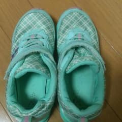 瞬足 レモンパイ 19cmのサムネイル