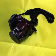 Nikon COOLPIX Bridge COOLPIX B500 PLUMのサムネイル