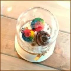 プリザーブドフラワーオルゴール レインボーローズ＆チョコレート 