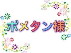 ☆ポメタン様専用☆のサムネイル