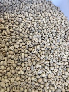 爆安!!【コーヒー生豆】ベトナム/ハニープロセス/ロブスタ1.2kg ※送料