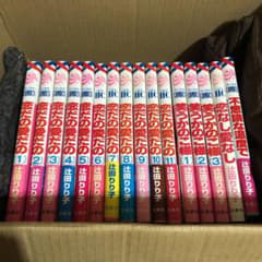 辻田りり子 セット❗️16冊のサムネイル