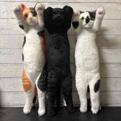 타치치 Zoo 냥코