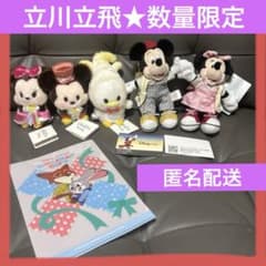 ディズニーストア 立川限定 ぬいぐるみキーチェーン ミッキー ミニー