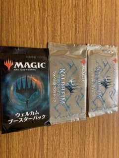 プレミアムプロモパック2 カルドハイム　ウェルカムブースターパック1のサムネイル