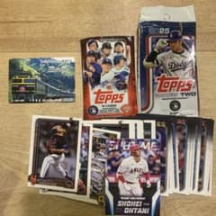 Topps カード おまけ　トワイライトエクスプレス　鉄道