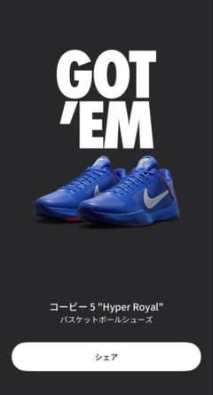 Nike スニーカー Kobe5 Protro コービー5 ドジャース 26cmのサムネイル