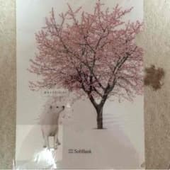 ソフトバンクお父さんのサムネイル