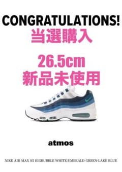 NIKE AIR MAX 95 BIG BUBBLE 26.5cm スニーカーのサムネイル