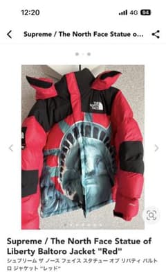 SUPREME THE NORTH FACE 自由の女神バルトロ　タグ付き！のサムネイル