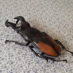 おもちゃ   虫 クワガタのサムネイル