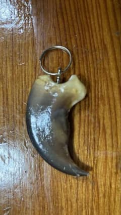 熊爪　熊　爪　キーホルダー　アクセサリーのサムネイル