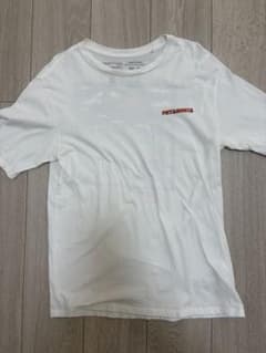 patagonia パタゴニア Tシャツ ホワイト XSのサムネイル