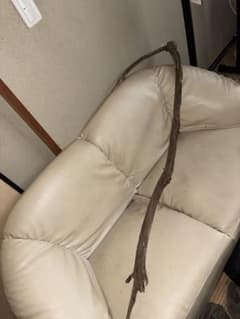 死神の鎌のサムネイル