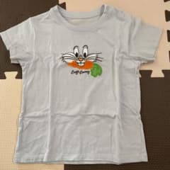 Tシャツ100センチのサムネイル
