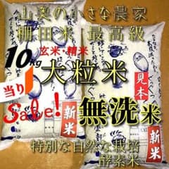 「発ガン性ナシ・希少」大粒米／玄米１０キロ「無洗米に精米」のサムネイル
