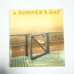 A SUMMER'S DAY Joel Meyerowitz 洋書 写真集 初版 - メルカリ