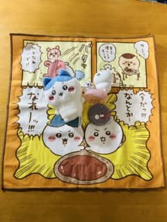 치이카와 세트