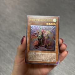 遊戯王 韓国版 ハーピィズペット仔竜 レリーフ 美品 旧アジア加工