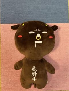 もちもち　ゆきお特大　飛騨牛50㎝のサムネイル