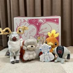 ピカピカボックス2023のサムネイル