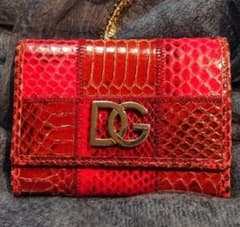 限定 希少新年sale DOLCE&GABBANA リザードン名刺ケースのサムネイル