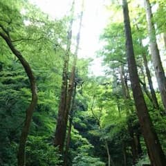 YUKArin様 専用 フリクション５本のサムネイル