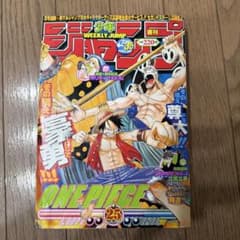 週刊少年ジャンプ 2003年25号 ONE PIECE表紙のサムネイル