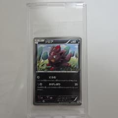 【未開封　美品】ゾロア PROMO BW-Pプロモカード 116/BW-P 未開封 美品】ゾロア PROMO BW-Pプロモカード 116/BW-P - メルカリ