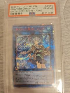 清冽の水霊使いエリア 20th psa10 - メルカリ