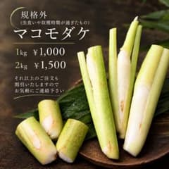 信州産 マコモダケ 規格外 1kgのサムネイル