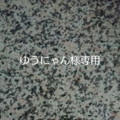 ゆぅにゃん様専用ページのサムネイル