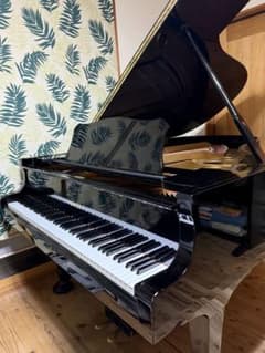 藝大合格！YAMAHAグランドピアノG5 2本ペダル - メルカリ
