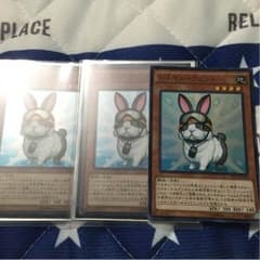 レスキューラビット3枚のサムネイル