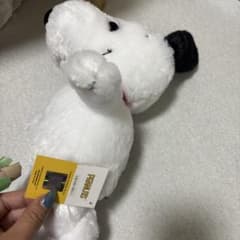 SNOOPY ぬいぐるみ レッド首輪のサムネイル