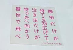 ハンブレッダーズ 歌詞ステッカー 光のサムネイル