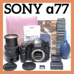高速連写機能✨SONY α77✨シングルレンズ✨届いたらすぐに使えます