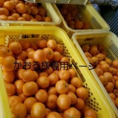 かおる様②専用ページ  上ノ太子みかん園のみかんのサムネイル
