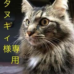 PSpソフト タヌキィ様 専用のサムネイル