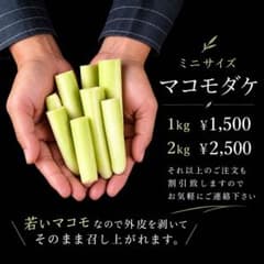 信州産 マコモダケ ミニサイズのサムネイル