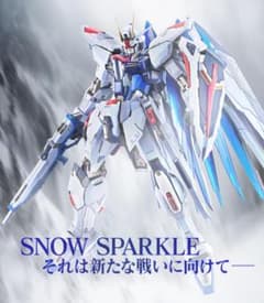 フリーダムガンダム CONCEPT 2 SNOW SPARKLE Ver.のサムネイル