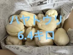 ハヤトウリ　訳あり　8のサムネイル