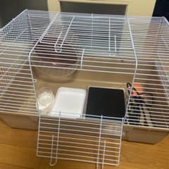 ハリネズミ　ゲージ（70×45×40）　おまけでヒーター等のサムネイル