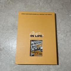 Stray Kids IN LIFE 特別版のサムネイル