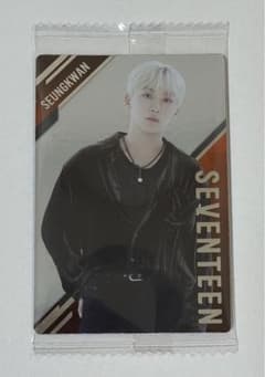 SEVENTEEN 수광 웨이퍼 트레카 씰