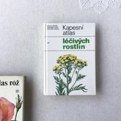 チェコ洋書 薬草・ハーブ図鑑 小さな植物図鑑 ジャンクジャーナル