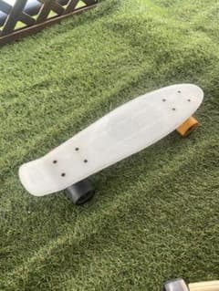 ステレオ ミニクルーザー スケートボード クルーザーボード