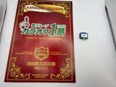 カラオケ 1番 Aカートリッジ A レア 夢グループ 追加曲 3000曲 限定