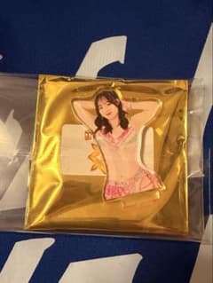 女子プロレス マリーゴールド ランダムアクスタ4弾 南小桃 アクリル